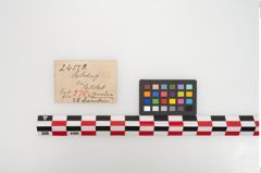 Etikett zu Bernsteinperlenkette (NHMW-PRAE-024510)
